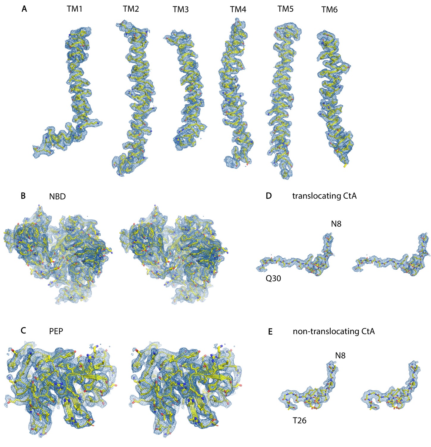 Figures And Data In Structural Basis Of Substrate Recognition By A ...