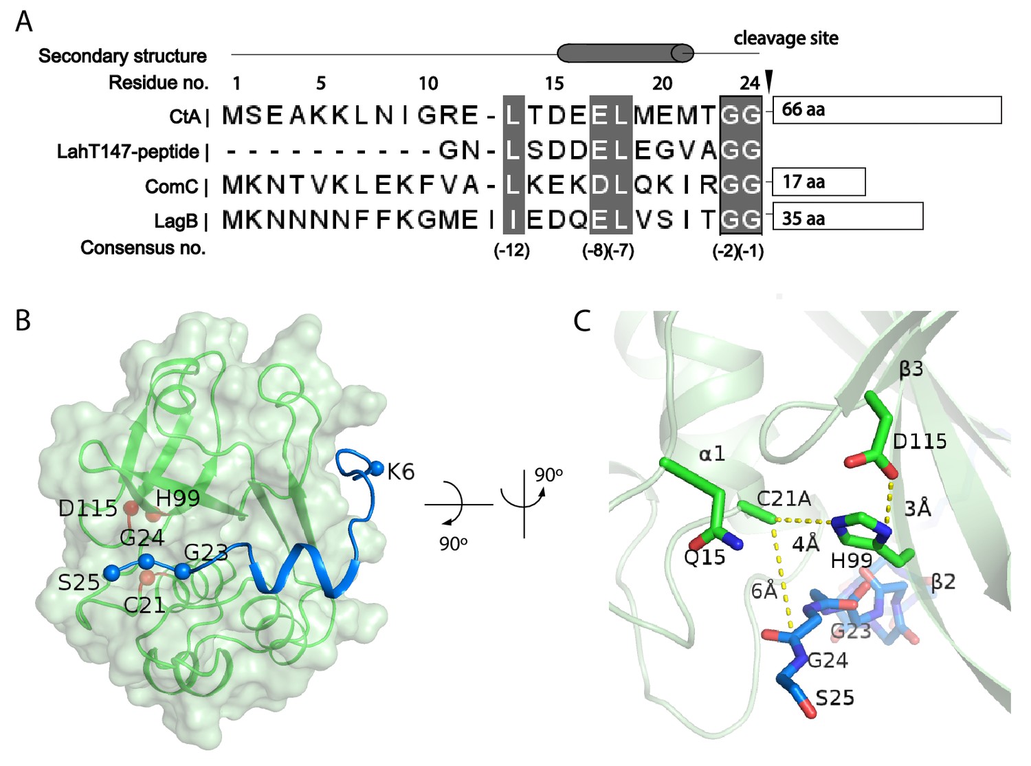 Figures And Data In Structural Basis Of Substrate Recognition By A ...