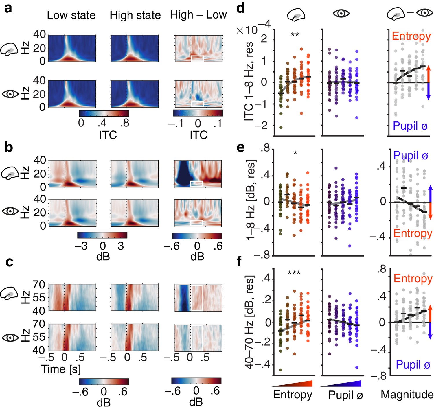 Local cortical desynchronization and pupil-linked arousal