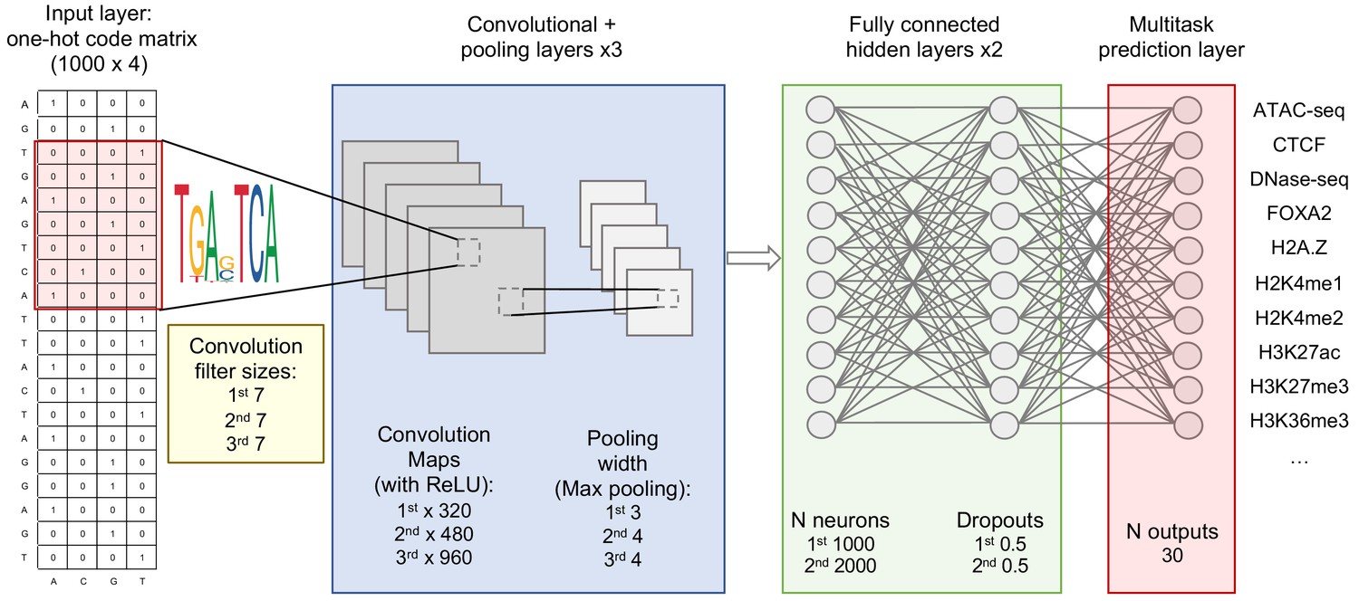 Figures and data in Deep learning models predict regulatory variants in ...