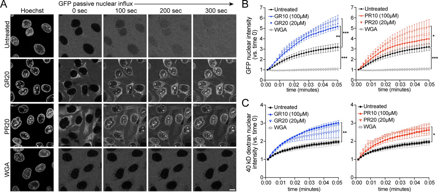 レア！DETAMINATIONS FULLOFDETERMINATION Divergence, Convergence, and Therapeutic Implications: A