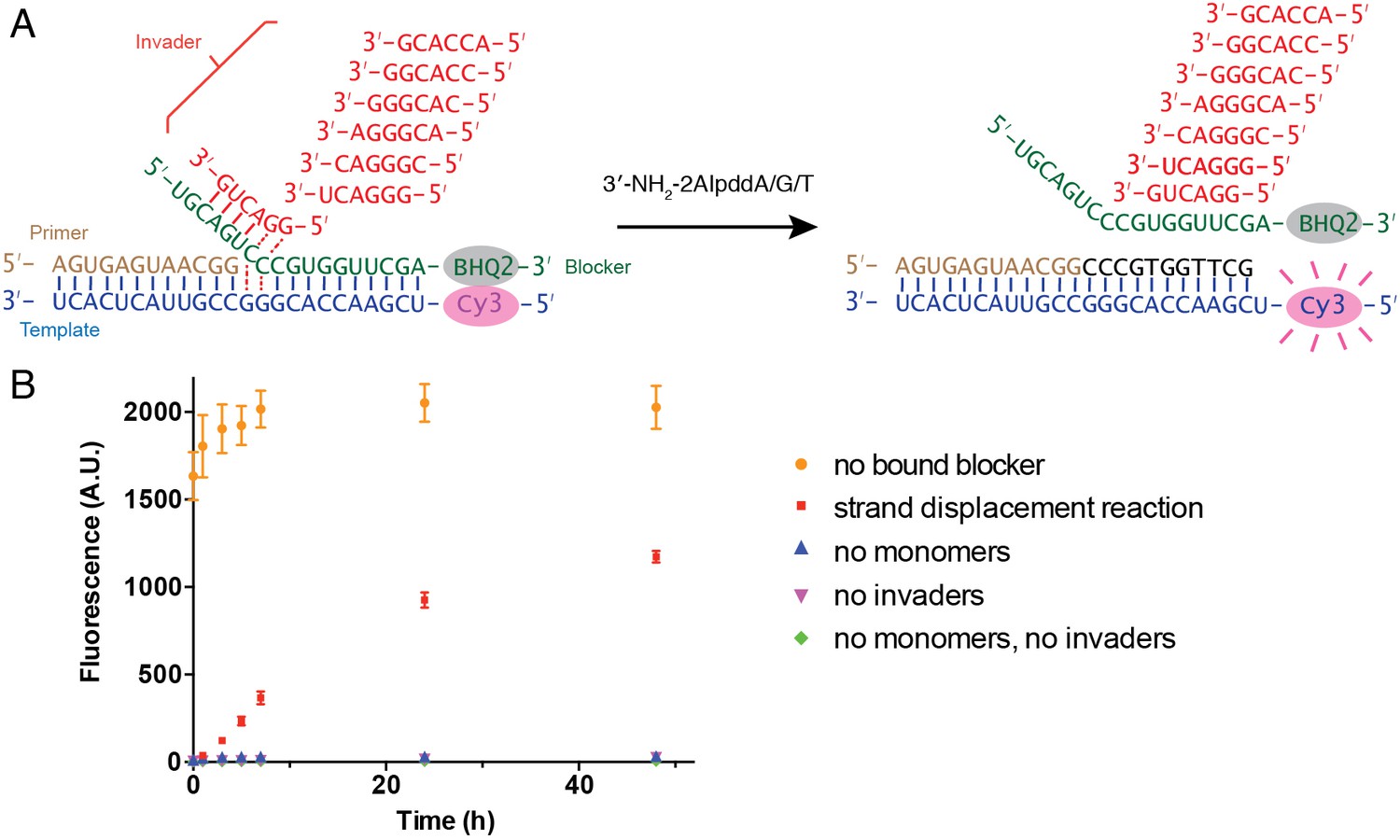 Figures and data in Nonenzymatic primer extension with strand