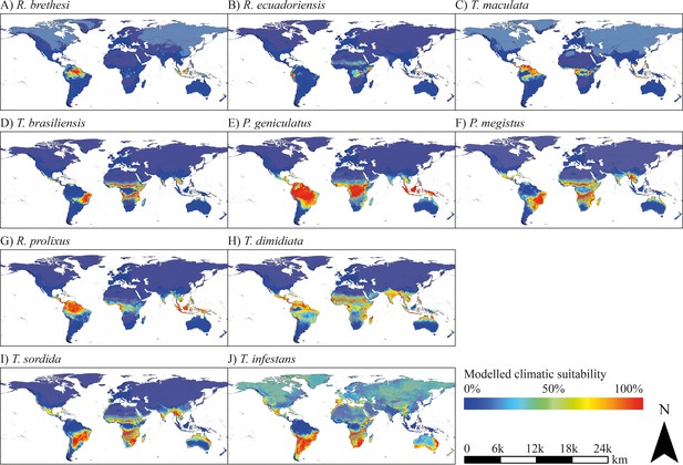 Modelling the climatic suitability of Chagas disease vectors on a ...