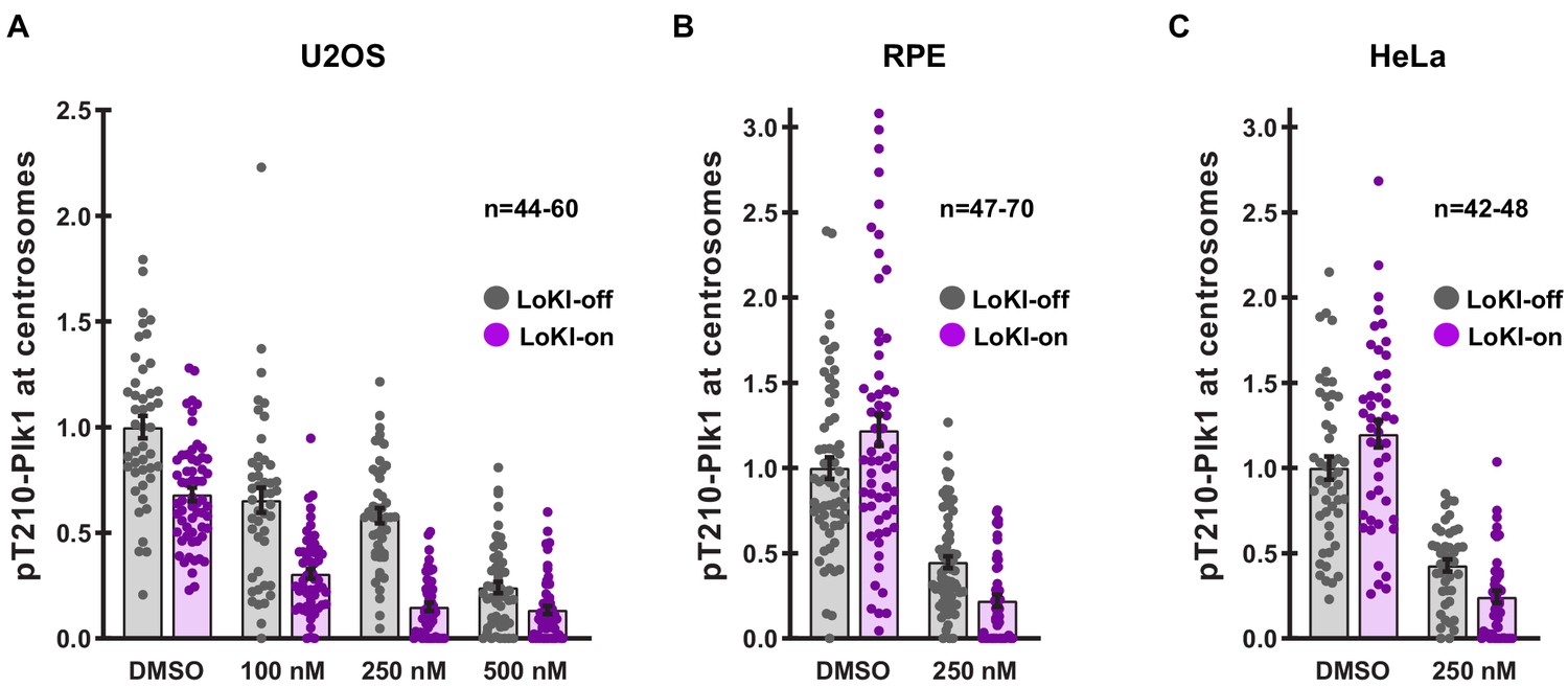 Figures And Data In Subcellular Drug Targeting Illuminates Local Kinase