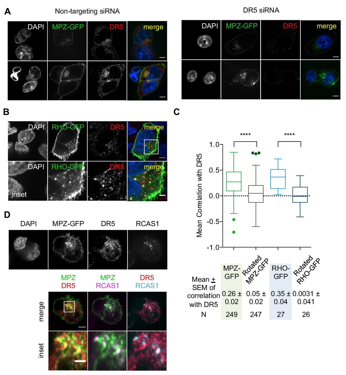 Figures and data in Misfolded proteins bind and activate death receptor ...