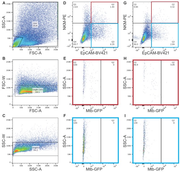 Figures and data in Identification of scavenger receptor B1 as the ...