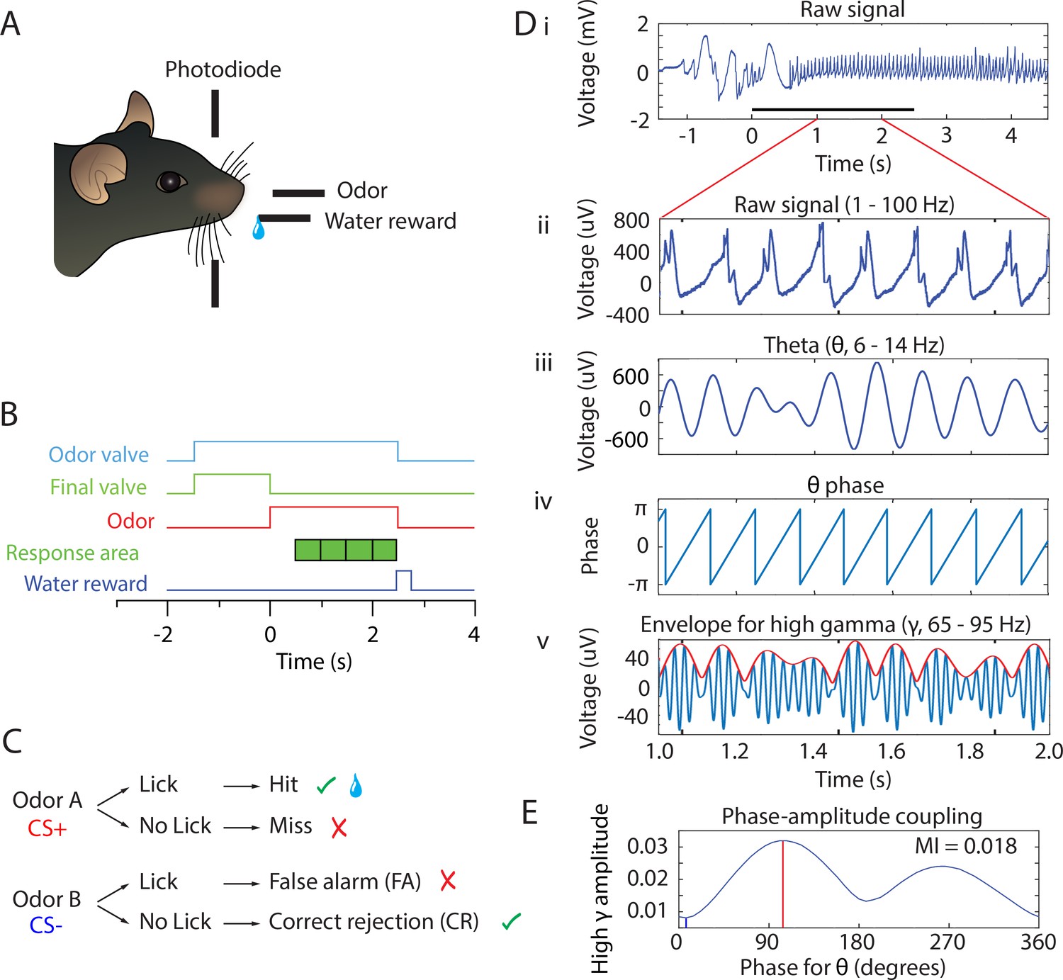 Learning Improves Decoding Of Odor Identity With Phase-referenced ...