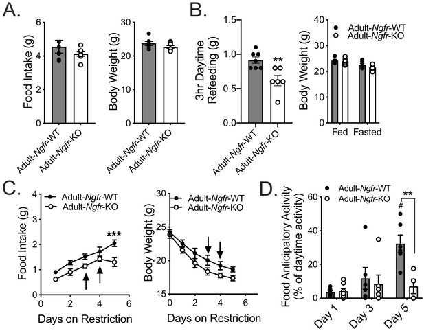 Figures And Data In The P75 Neurotrophin Receptor In AgRP Neurons Is ...