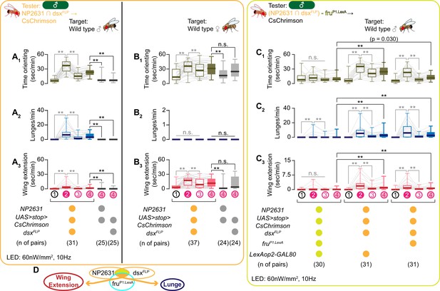 Figures And Data In Sex Determining Genes Distinctly Regulate Courtship Capability And Target 9161