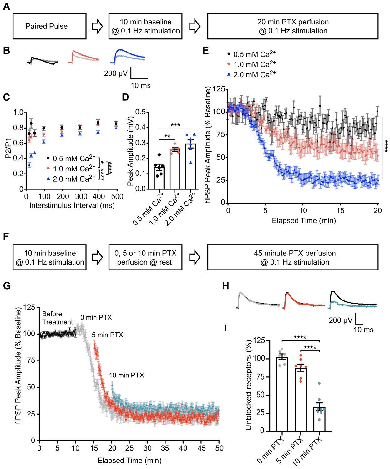 Figures And Data In Spontaneous And Evoked Neurotransmission Are ...