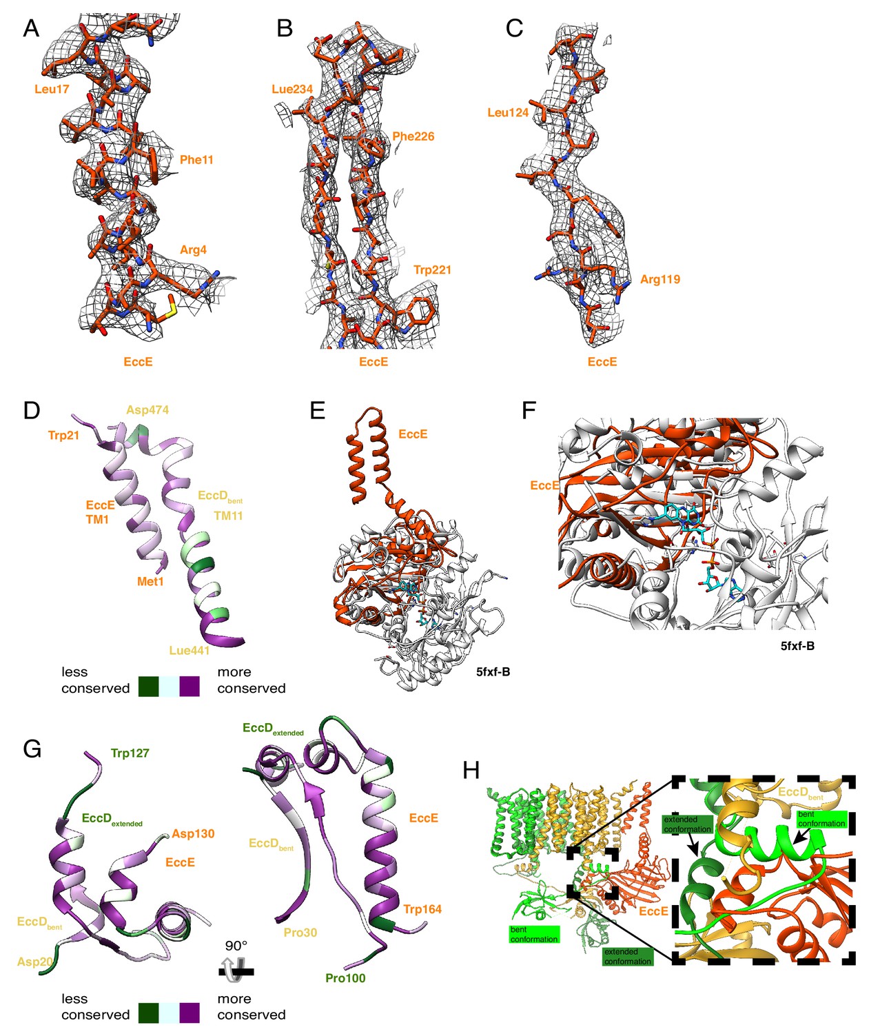 Figures and data in The structure of the endogenous ESX-3 secretion ...