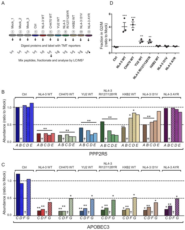 Antagonism Of PP2A Is An Independent And Conserved Function Of HIV-1 ...