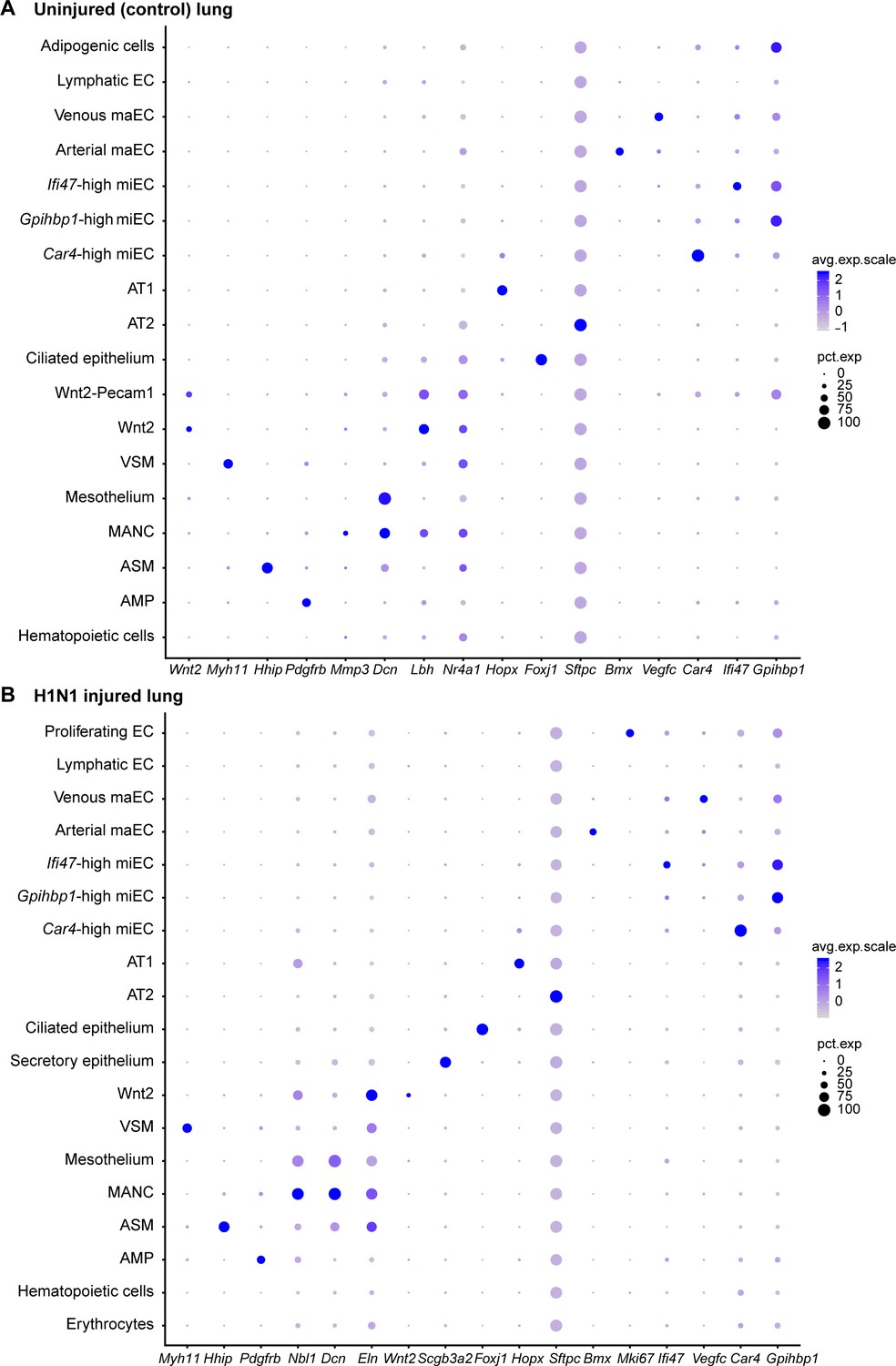 Figures And Data In Defining The Role Of Pulmonary Endothelial Cell