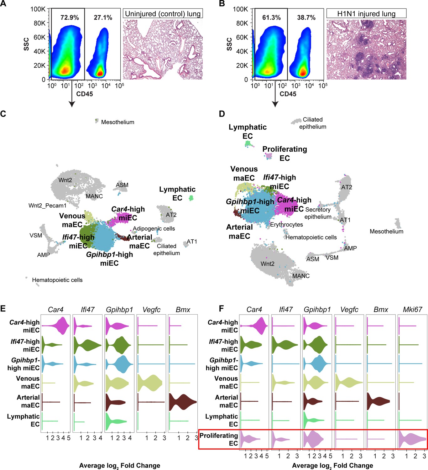 Figures And Data In Defining The Role Of Pulmonary Endothelial Cell