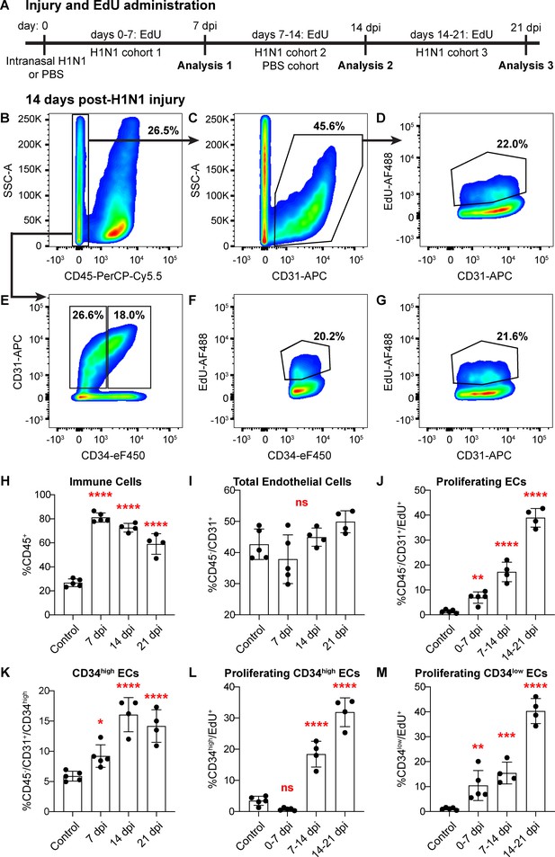 Figures And Data In Defining The Role Of Pulmonary Endothelial Cell