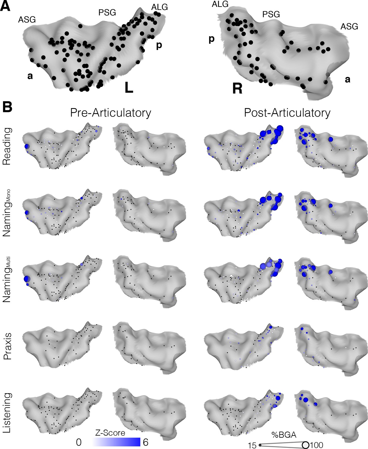 Uncovering The Functional Anatomy Of The Human Insula During Speech | ELife