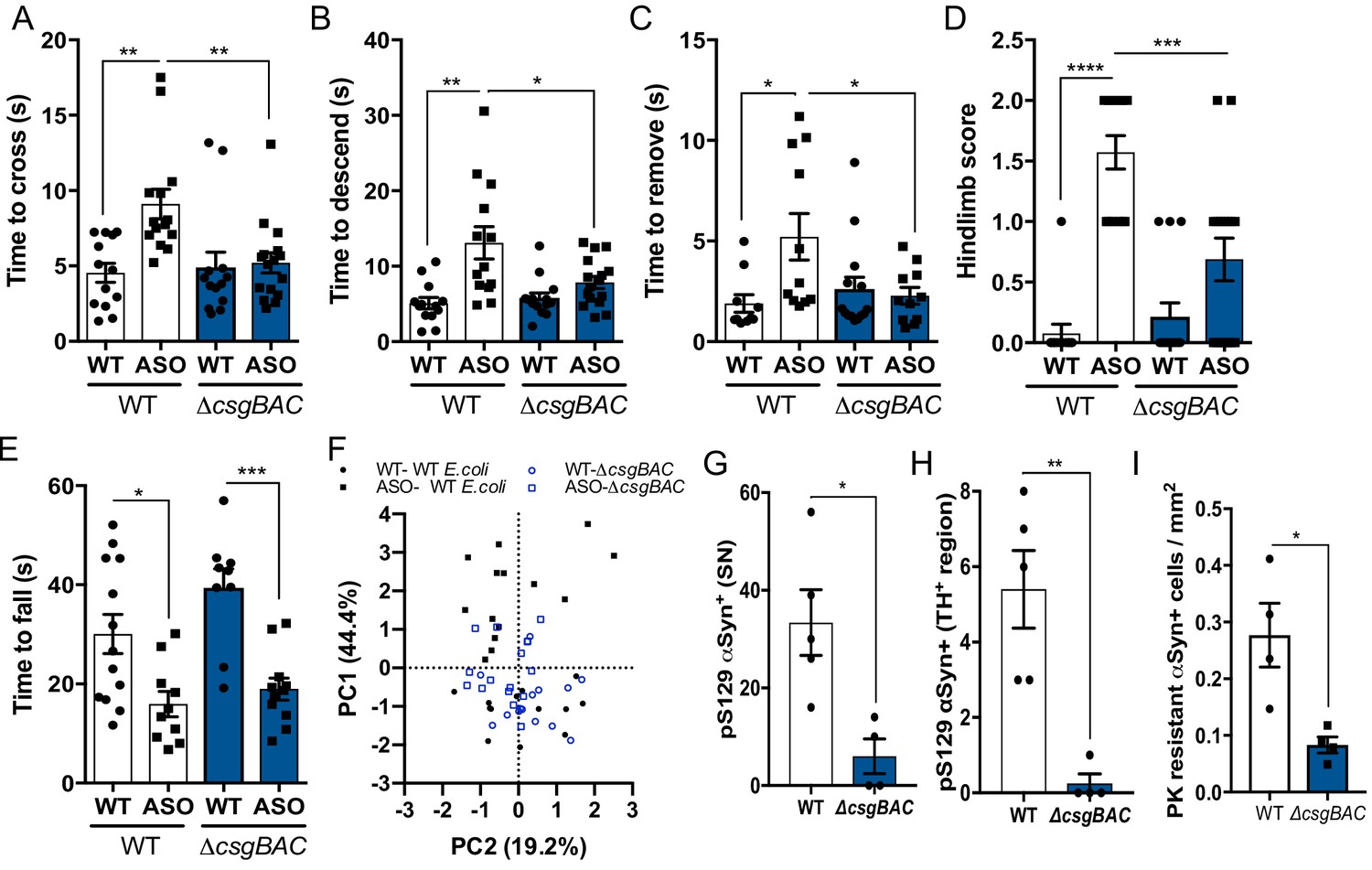 A Gut Bacterial Amyloid Promotes A Synuclein Aggregation And Motor Impairment In Mice Elife