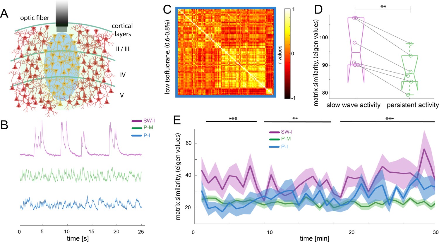 Brain States Govern The Spatio-temporal Dynamics Of Resting-state ...