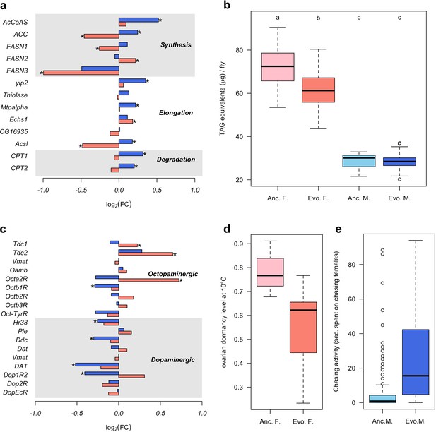 Rapid Sex Specific Adaptation To High Temperature In Drosophila Elife