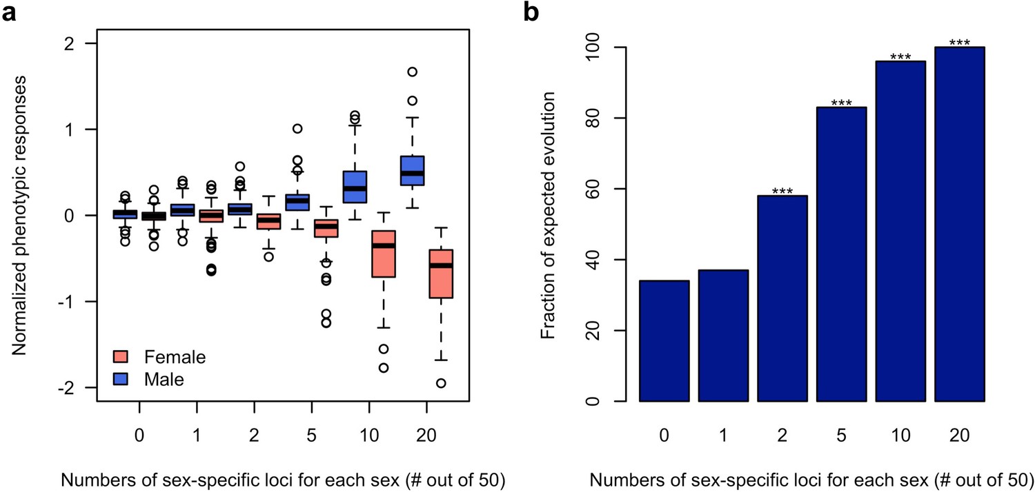 Figures And Data In Rapid Sex Specific Adaptation To High Temperature