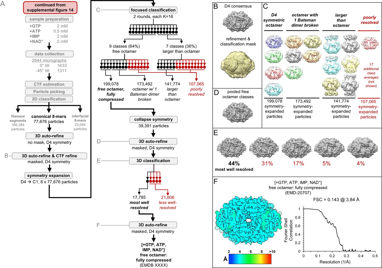 Figures And Data In Cryo-EM Structures Demonstrate Human IMPDH2 ...