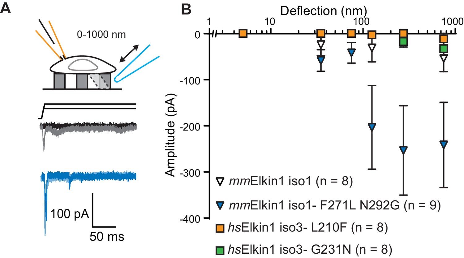 TMEM87a/Elkin1, a component of a novel mechanoelectrical