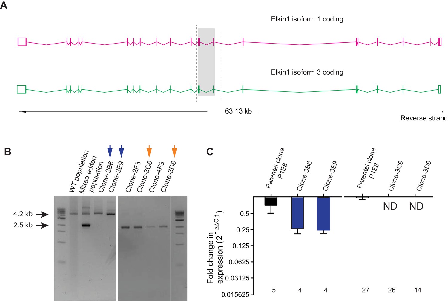 TMEM87a/Elkin1, a component of a novel mechanoelectrical