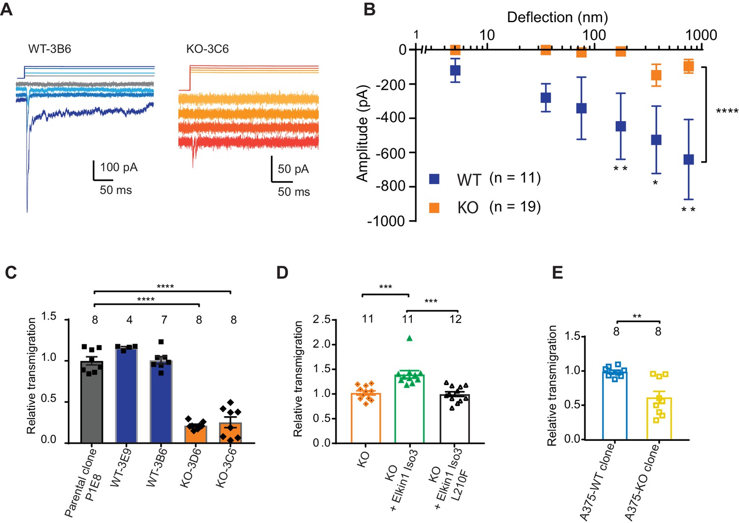 TMEM87a/Elkin1, a component of a novel mechanoelectrical