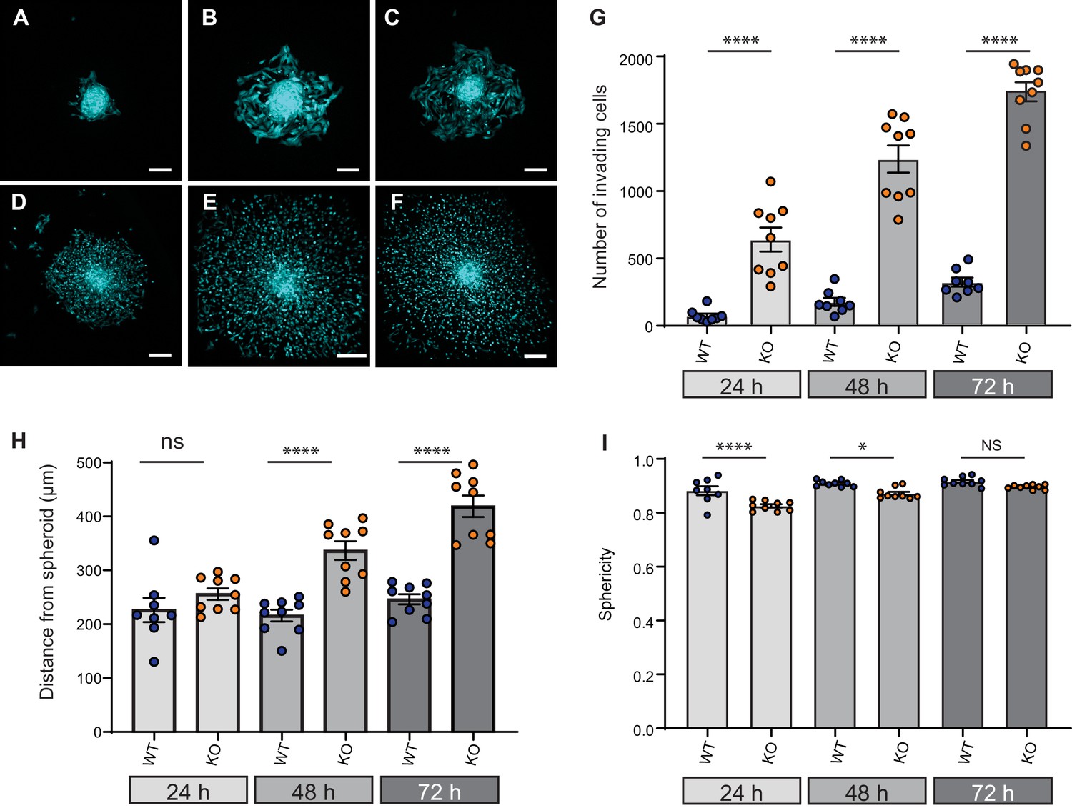 TMEM87a/Elkin1, a component of a novel mechanoelectrical