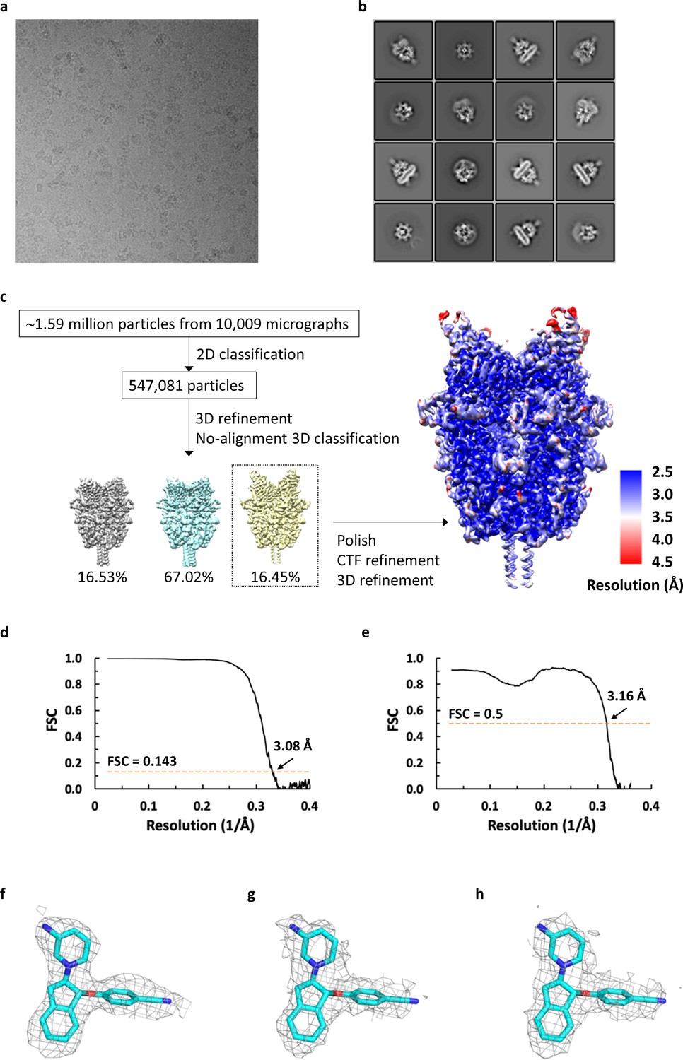 Figures And Data In Structural Basis For Pharmacological Modulation Of ...