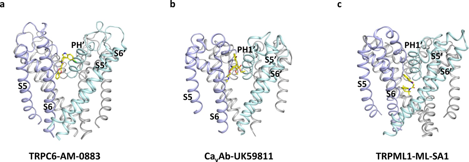 Figures And Data In Structural Basis For Pharmacological Modulation Of ...