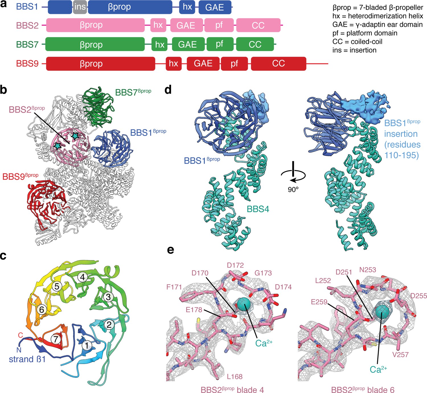 Structure And Activation Mechanism Of The Bbsome Membrane Protein 