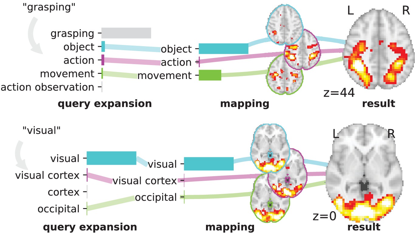 Figures and data in NeuroQuery, comprehensive metaanalysis of human