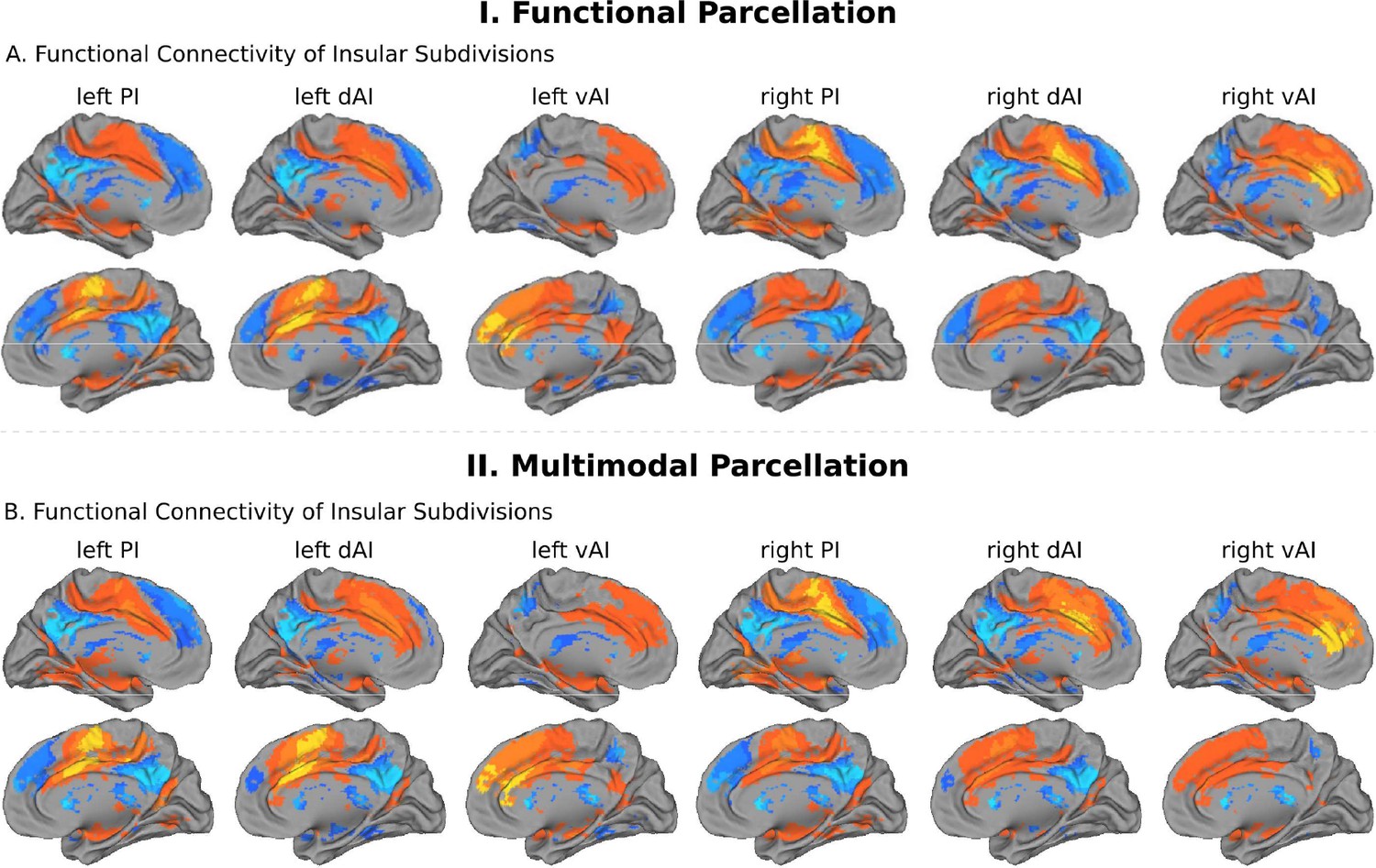 Microstructural Organization Of Human Insula Is Linked To Its ...