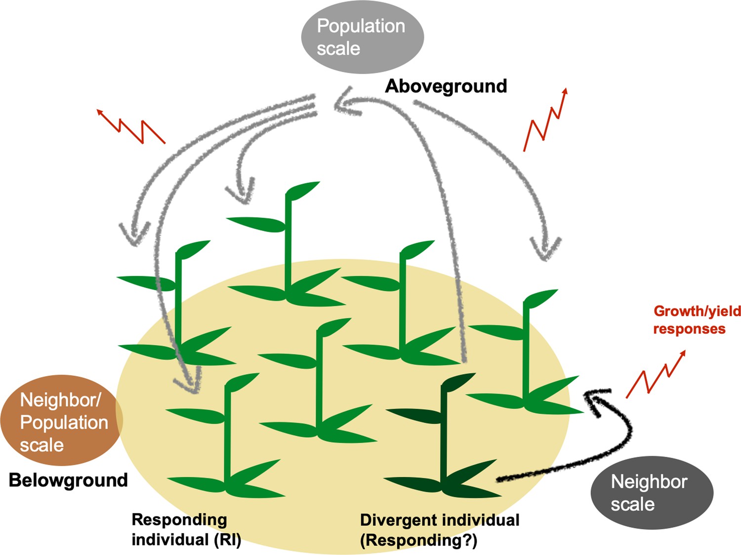 Determining The Scale At Which Variation In A Single Gene Changes