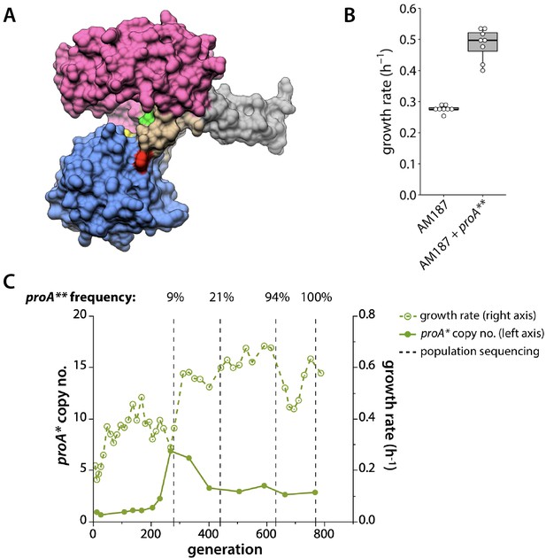 Figures and data in Mutations that improve efficiency of a weak-link ...