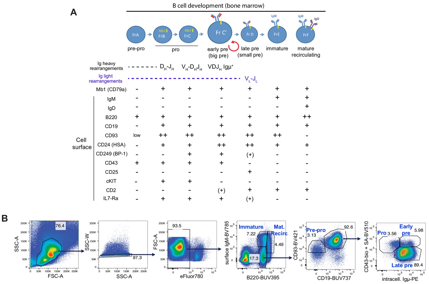 Figures And Data In Polypyrimidine Tract-binding Proteins Are Essential ...