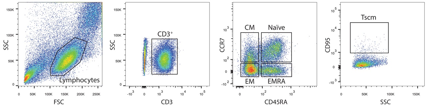 Figures and data in Primary and secondary anti-viral response captured ...