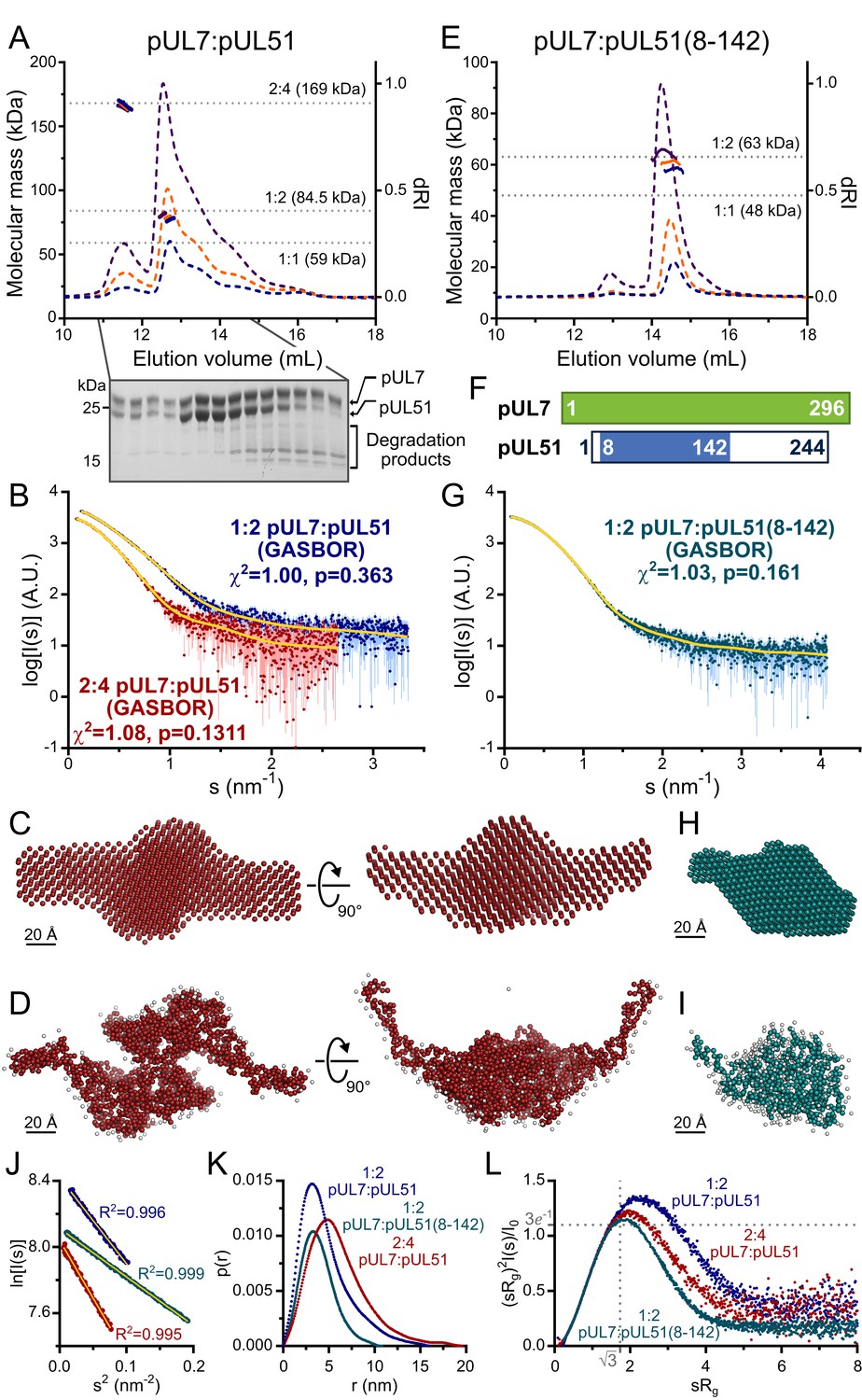 Insights Into Herpesvirus Assembly From The Structure Of The Pul7 Pul51 Complex Elife