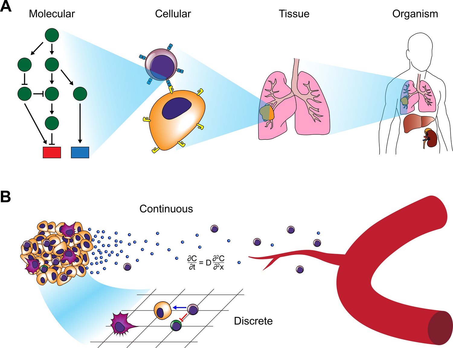 Figures and data in Cancer systems immunology | eLife