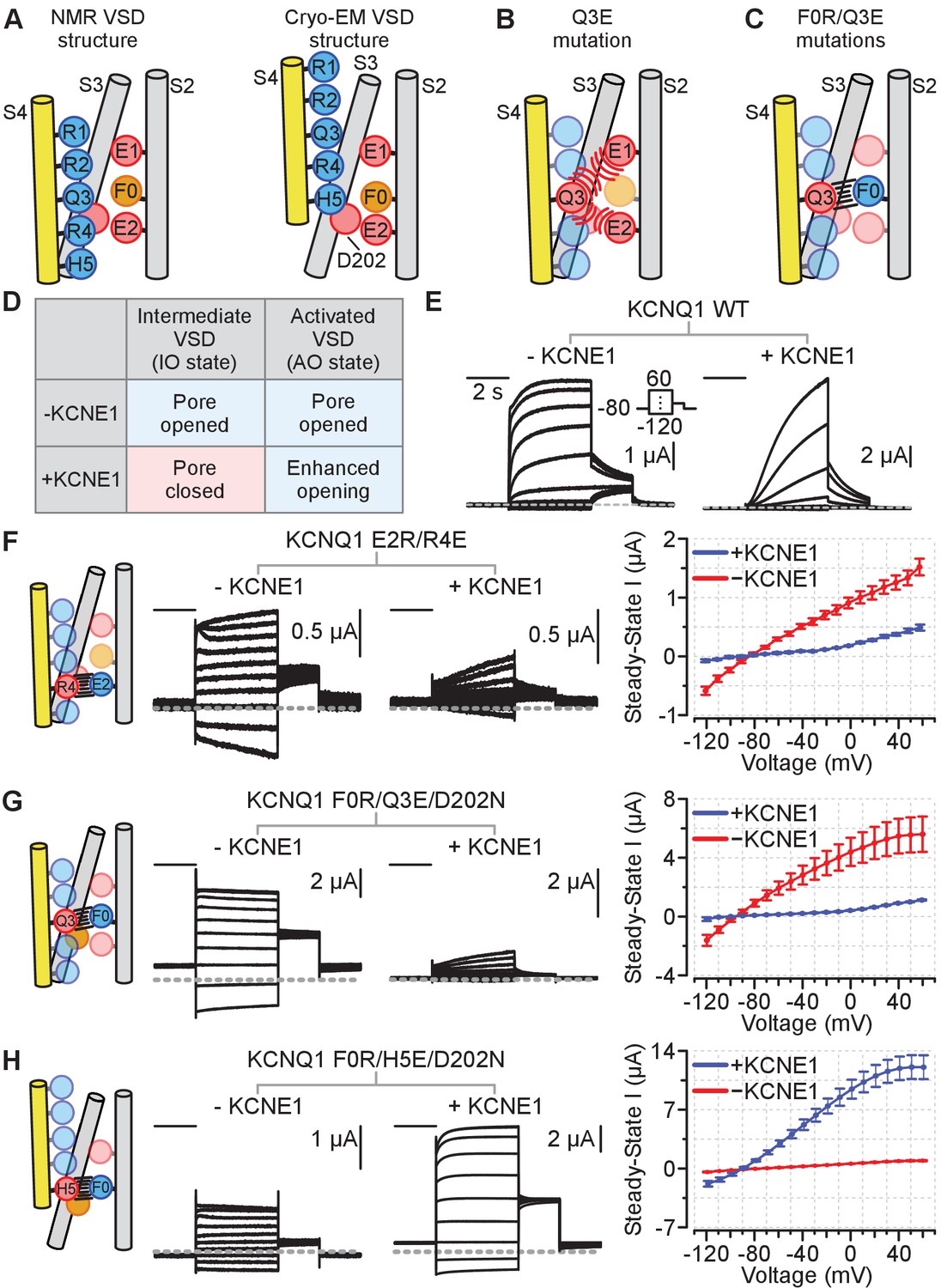 Figures and data in Structure and physiological function of the human ...