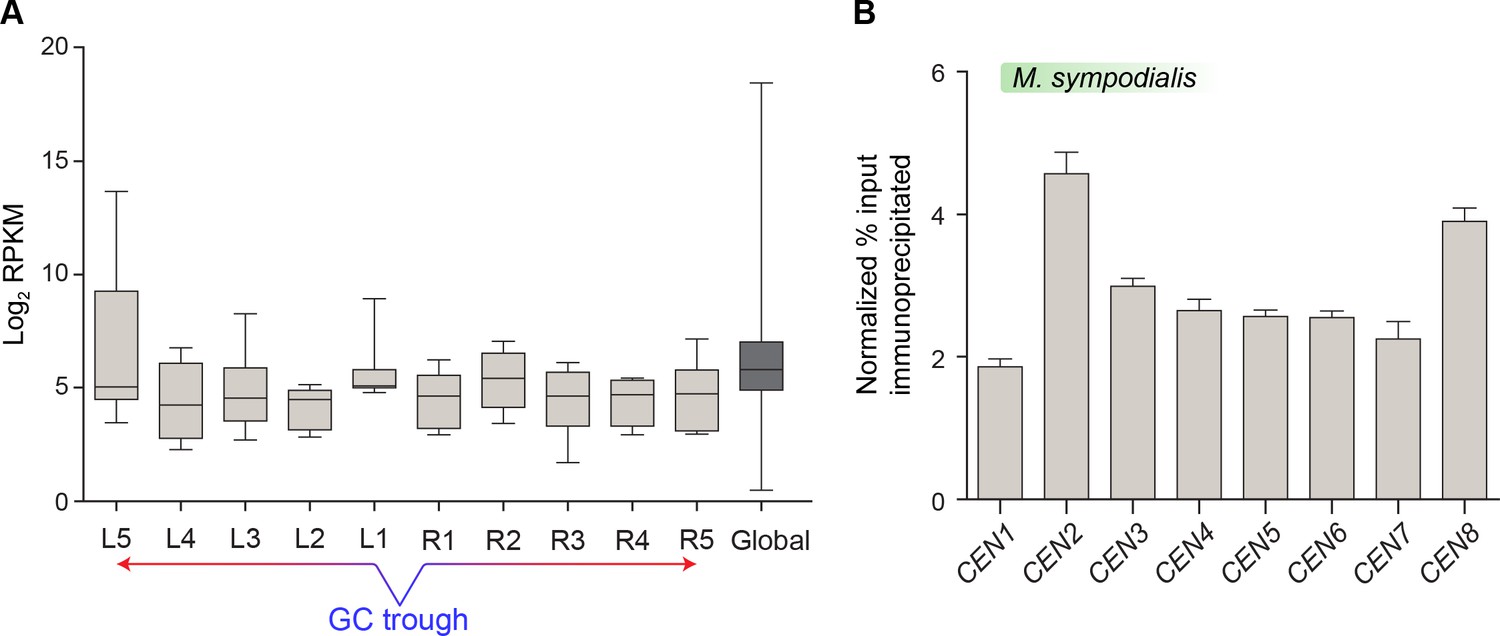 Figures And Data In Loss Of Centromere Function Drives Karyotype ...