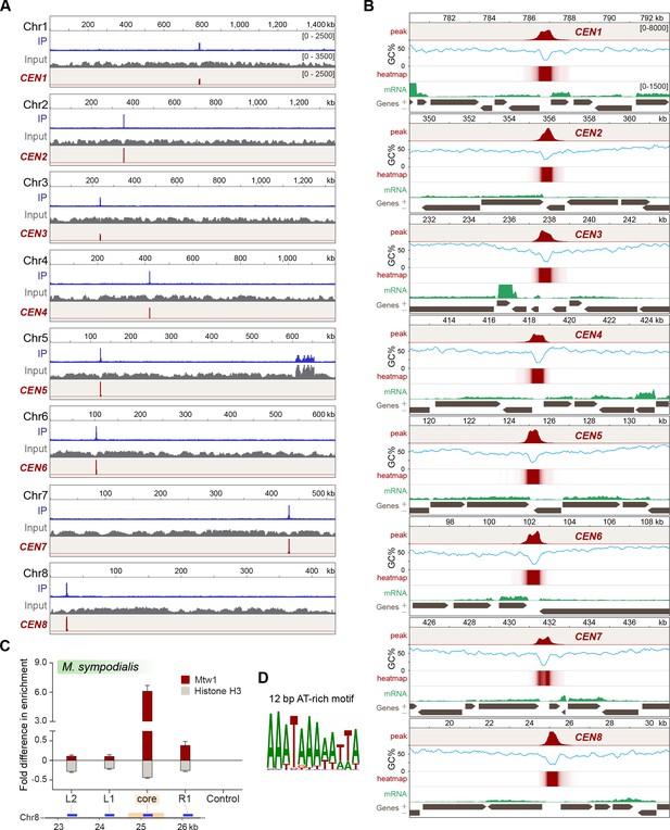 Figures and data in Loss of centromere function drives karyotype ...