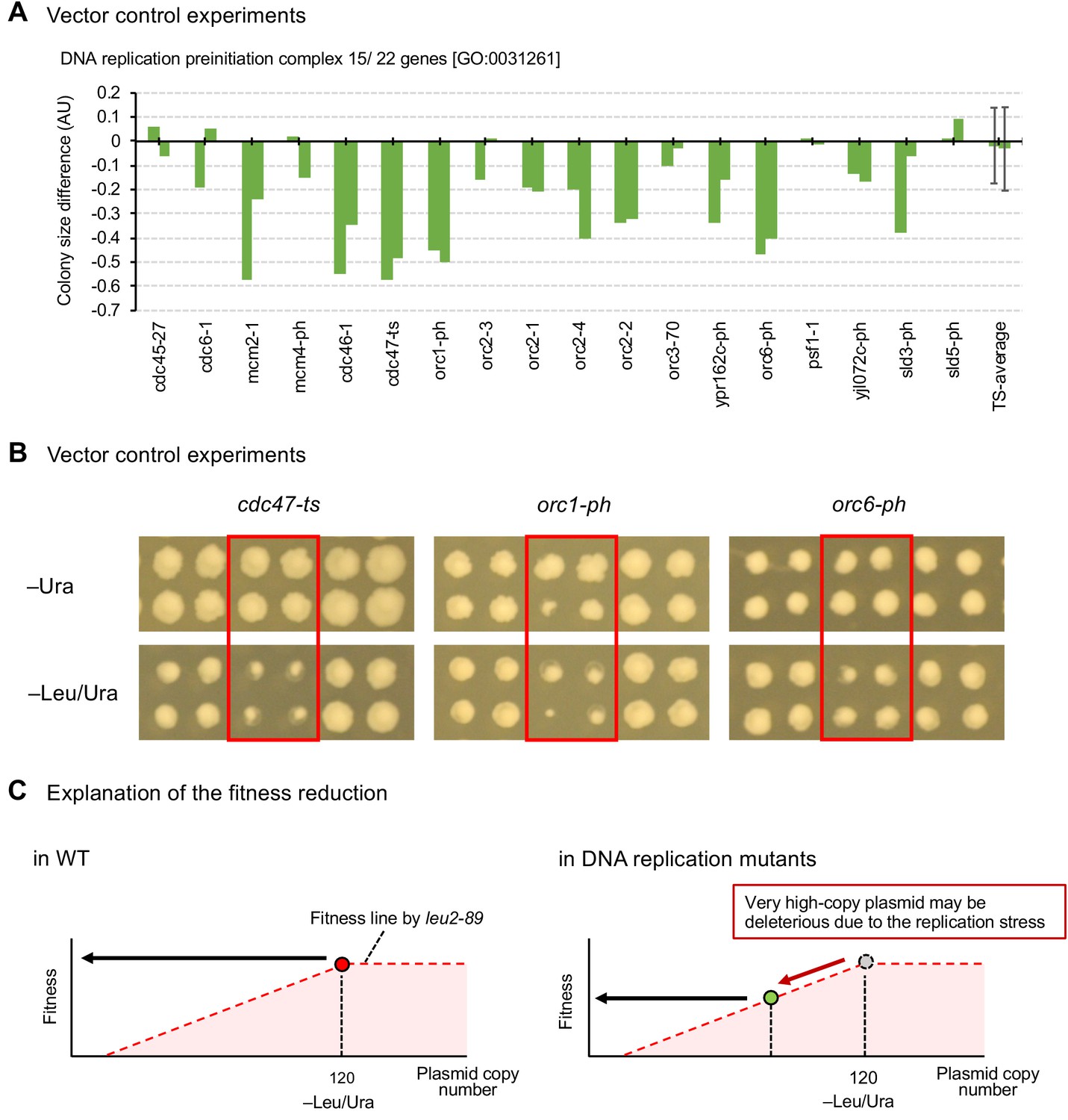 Figures and data in Genetic profiling of protein burden and nuclear ...