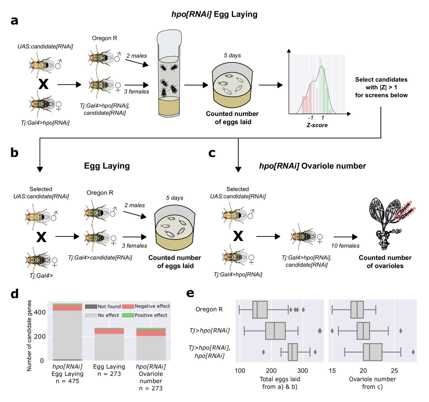 Topology-driven Protein-protein Interaction Network Analysis Detects ...