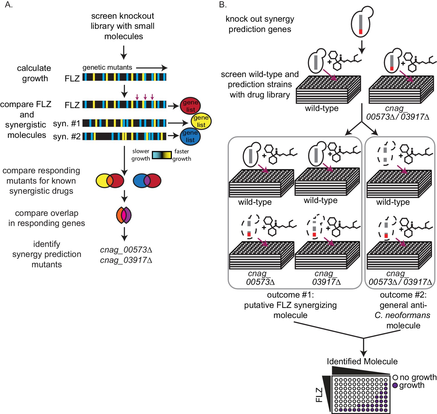 synergistic-and-antagonistic-drug-interactions-in-the-treatment-of