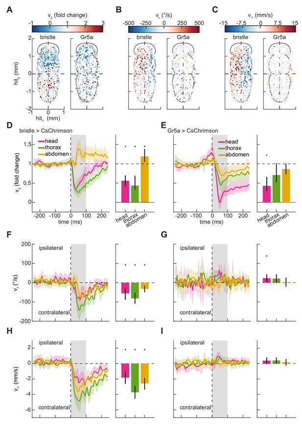 Spatiotemporally precise optogenetic activation of sensory neurons in ...