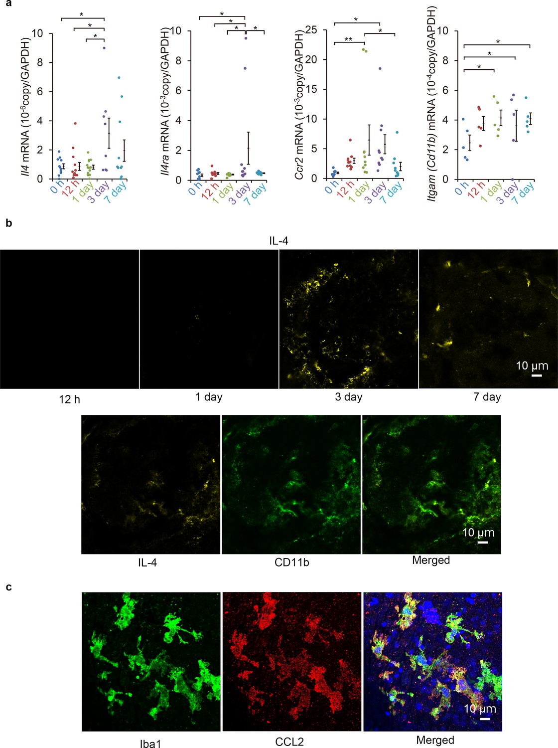 Recombinant Mouse IL-4 Protein, CF (404-ML/CF): Novus Biologicals