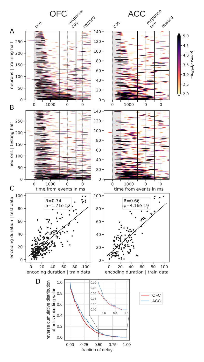 Stable and dynamic representations of value in the prefrontal 