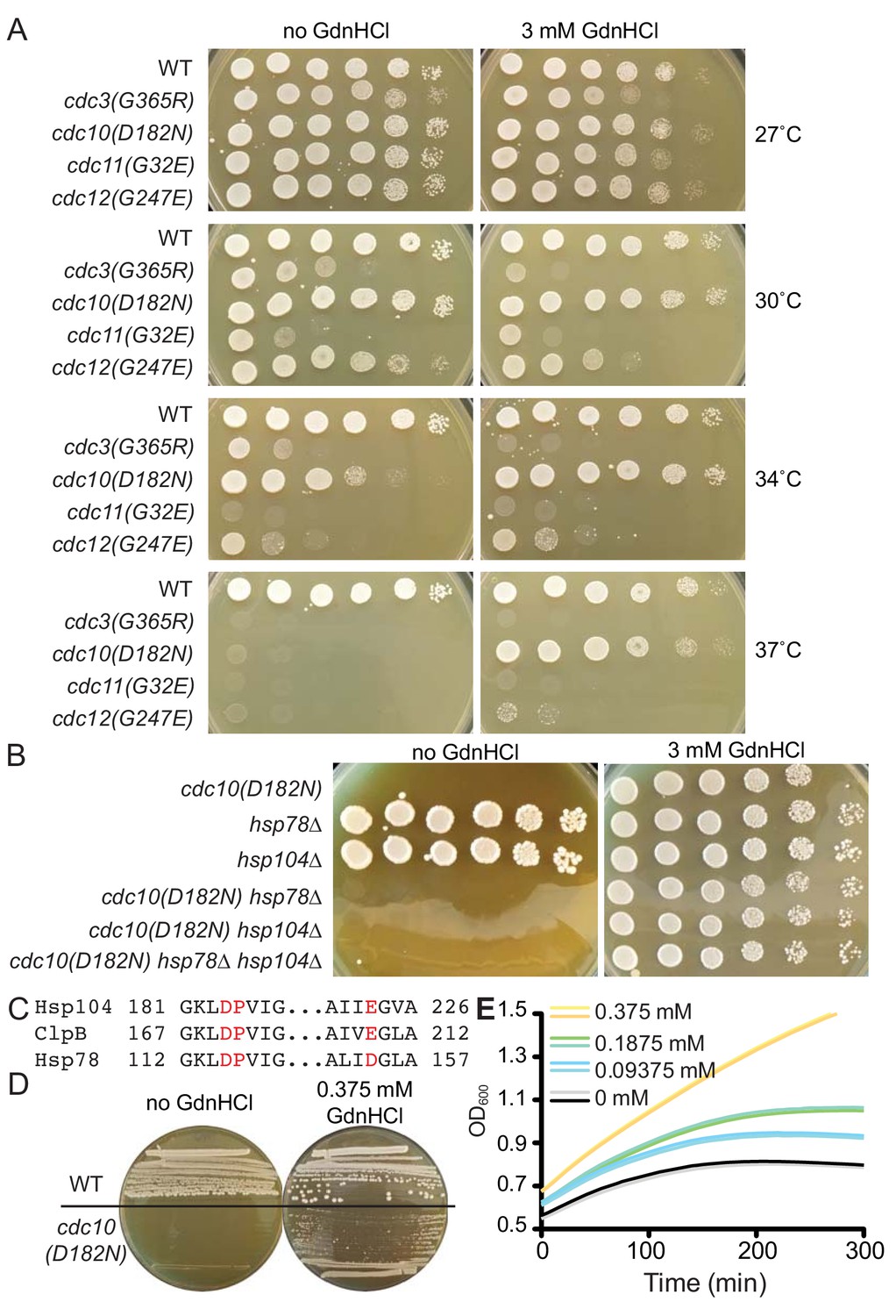 Mutant septins evade exclusion by quality control if assembled into